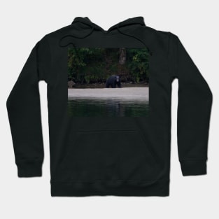 Black Bear Vancouver Island Hoodie